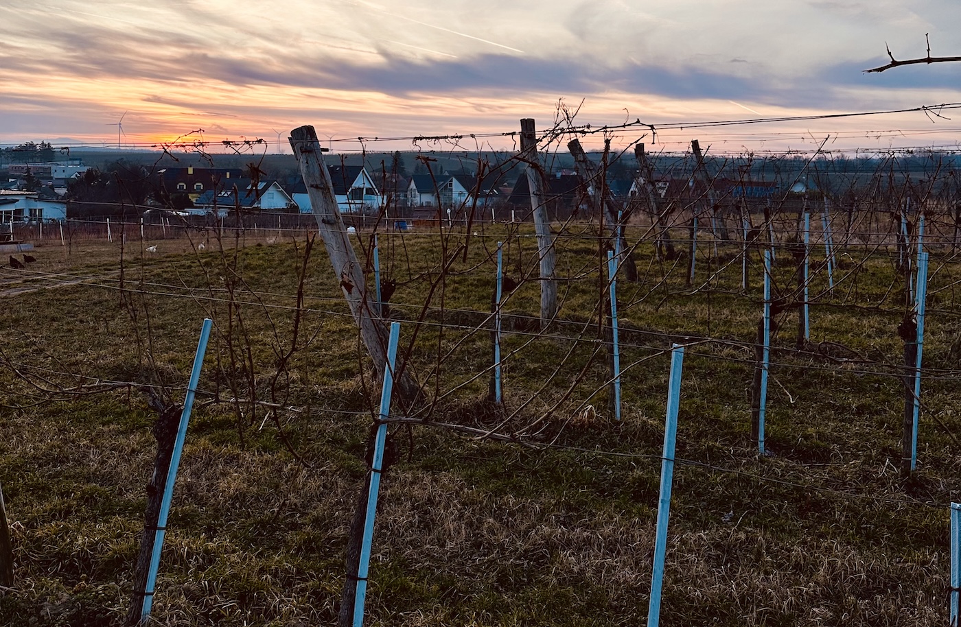 Carnuntum Göttlesbrunn