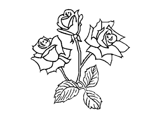 Champagne PH. Janisson category icon/image